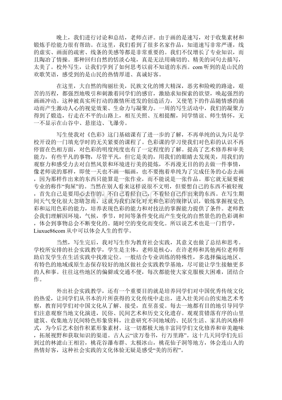 美术教师实习报告4000字.docx_第2页