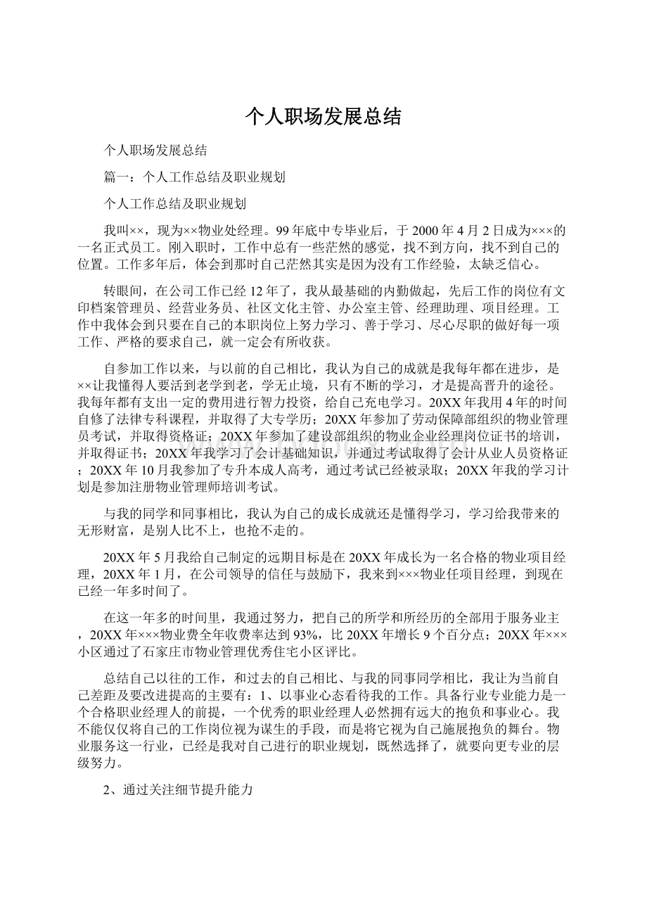 个人职场发展总结文档格式.docx