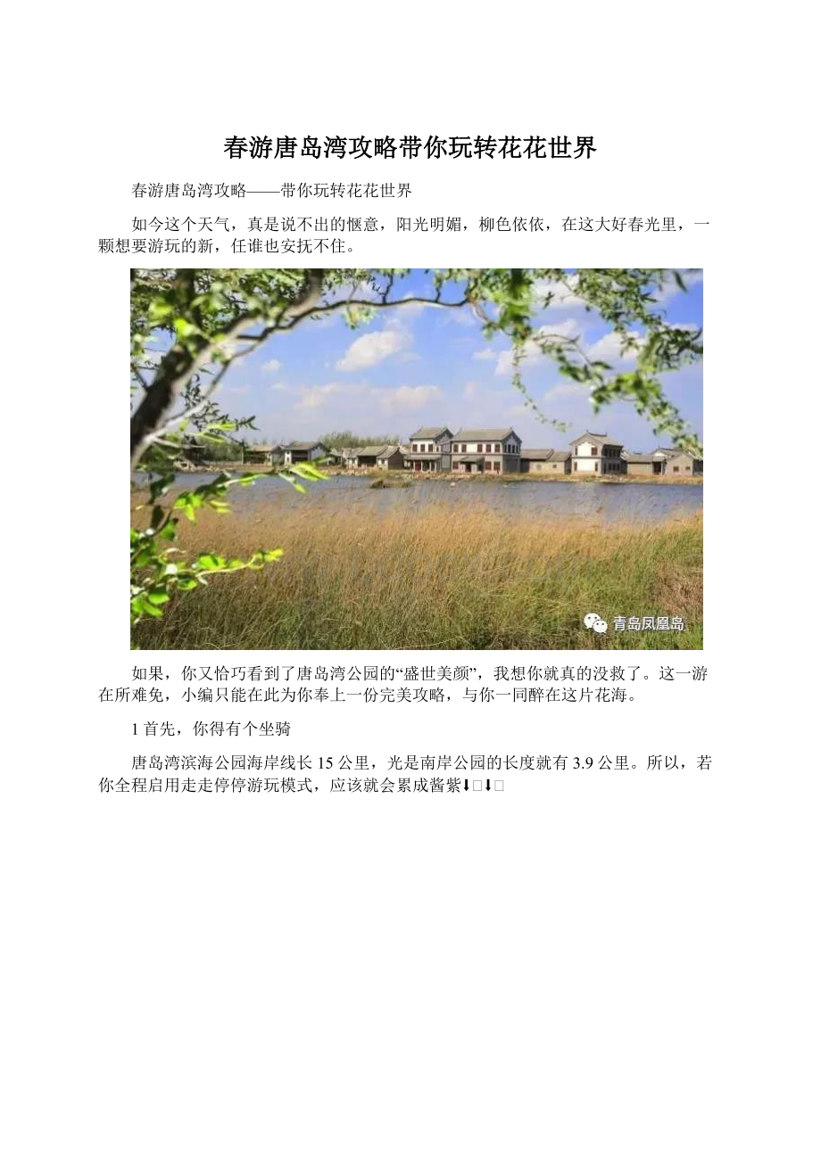 春游唐岛湾攻略带你玩转花花世界.docx_第1页