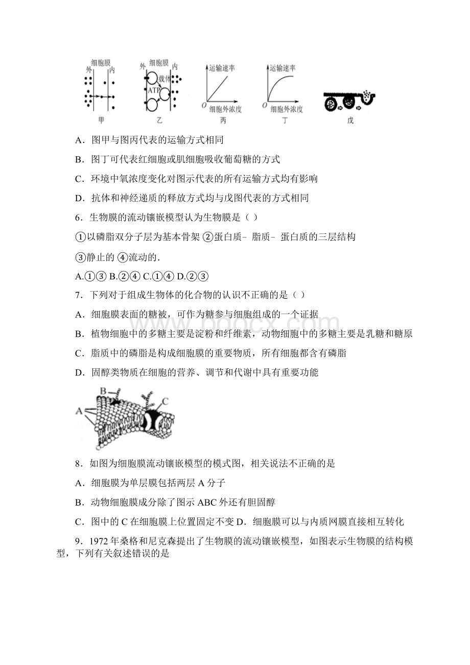 第二节生物膜的流动镶嵌模型.docx_第2页