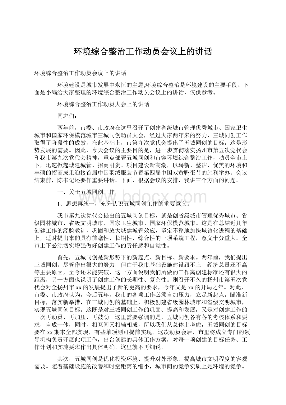 环境综合整治工作动员会议上的讲话Word文档格式.docx