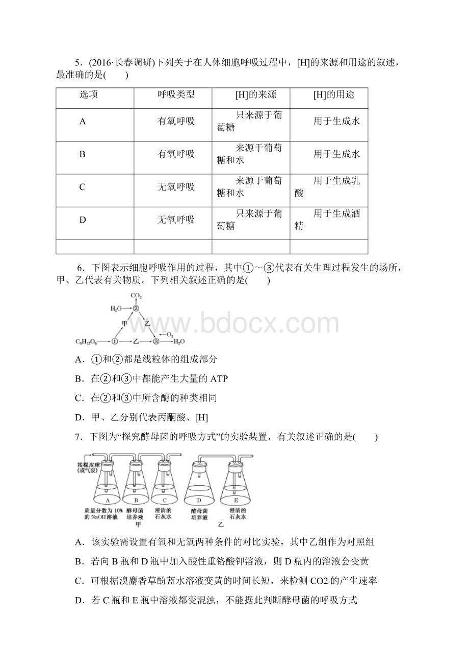 新资源第9讲细胞呼吸Word格式.docx_第2页