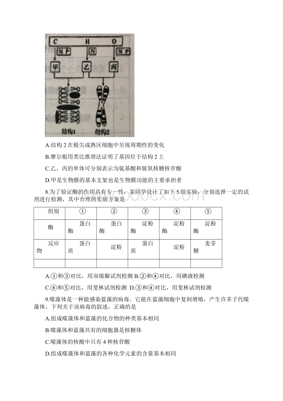 安徽省六安市第一中学届高三生物上学期第二次月考试题含答案.docx_第3页