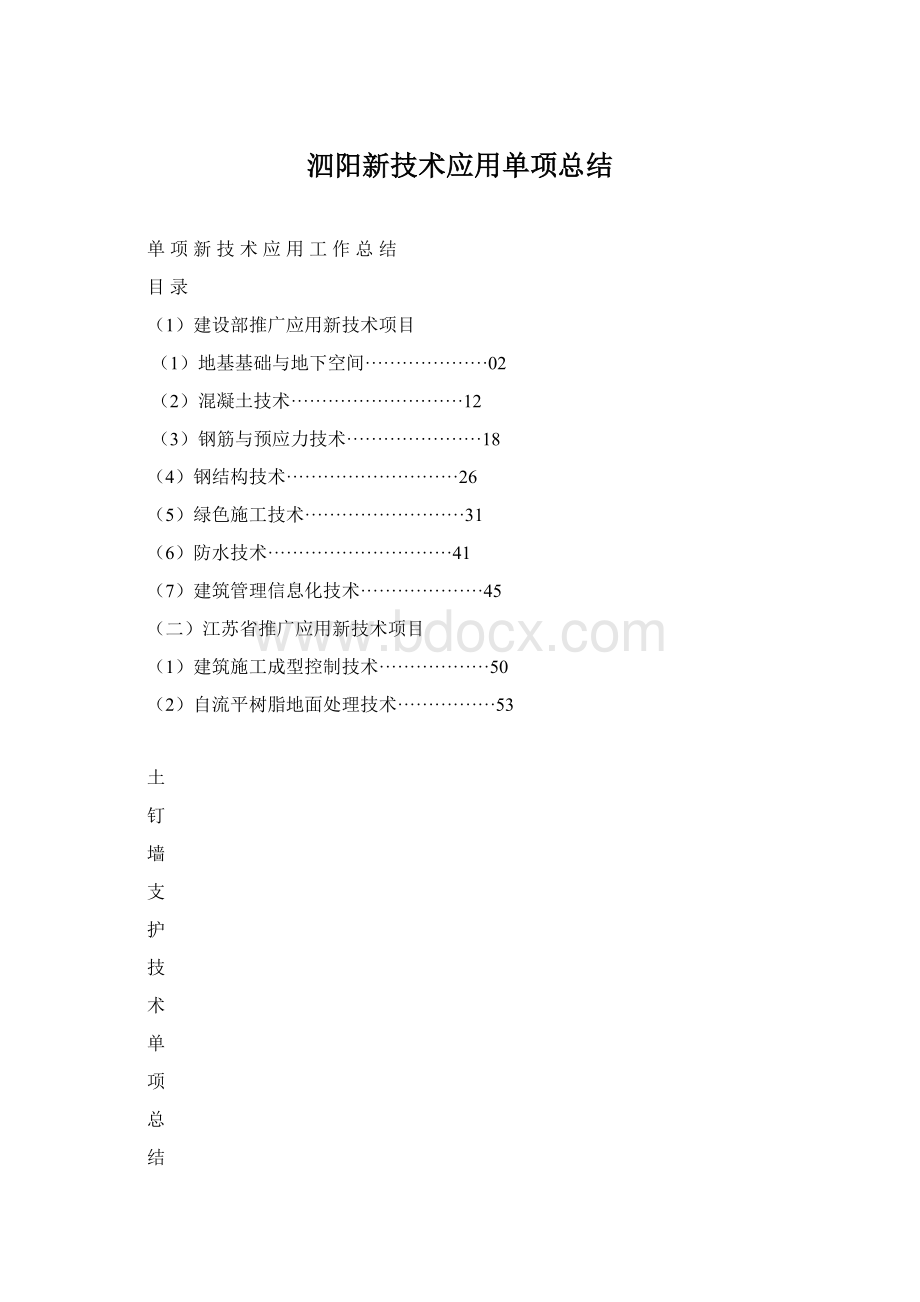 泗阳新技术应用单项总结.docx_第1页