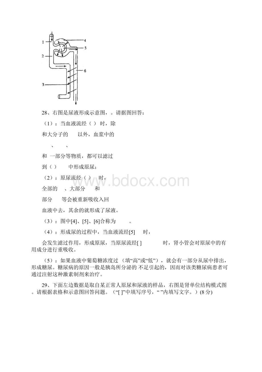 七年级下生物期末提纲.docx_第3页