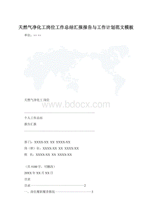 天然气净化工岗位工作总结汇报报告与工作计划范文模板.docx