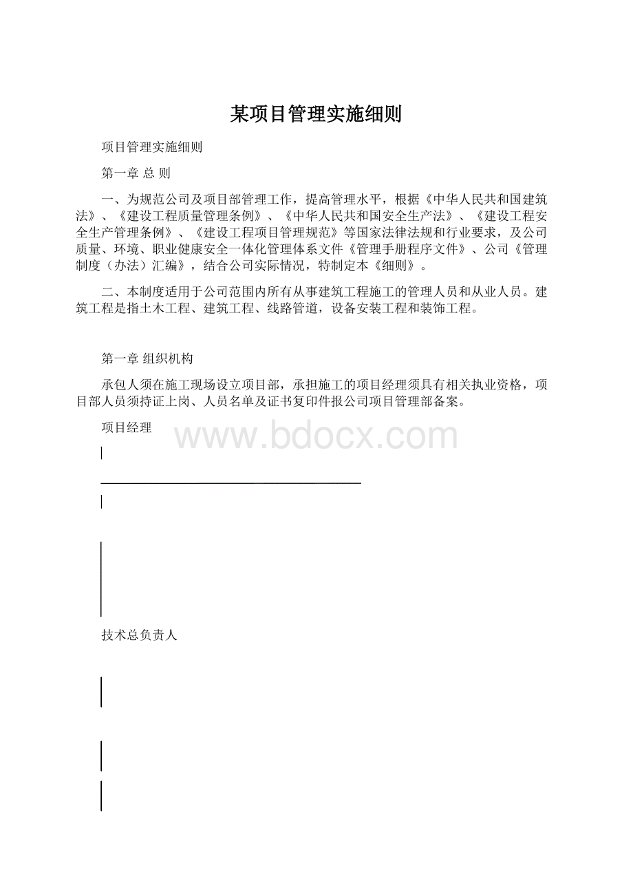 某项目管理实施细则Word文档下载推荐.docx