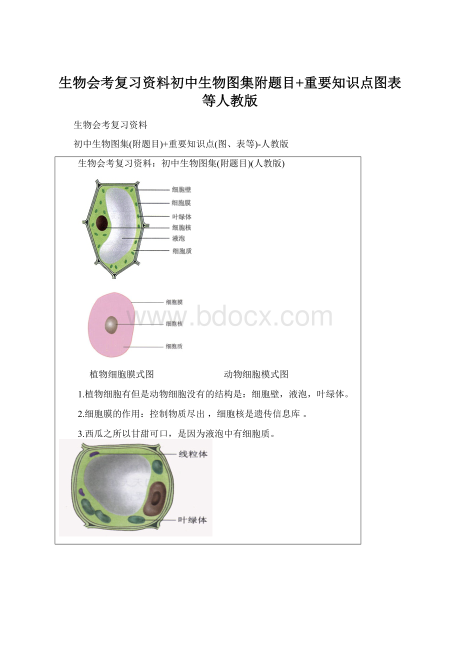 生物会考复习资料初中生物图集附题目+重要知识点图表等人教版Word文档格式.docx