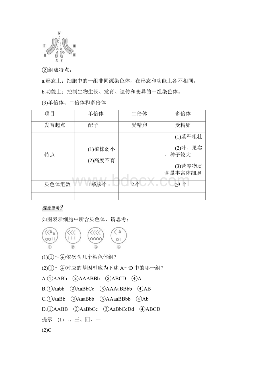 届 一轮复习中图版 染色体变异 教案doc.docx_第2页