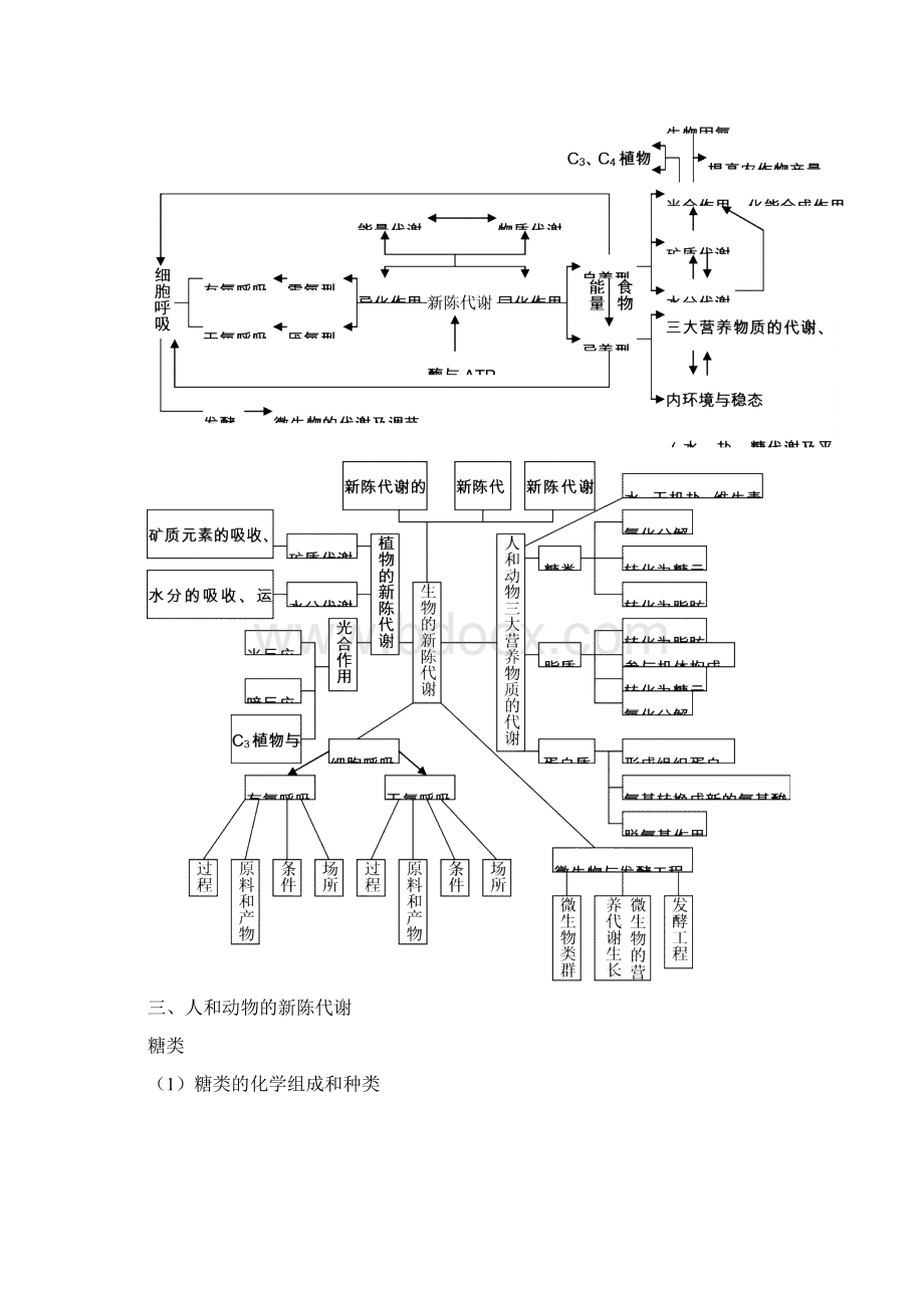 高考生物知识网络体系.docx_第3页