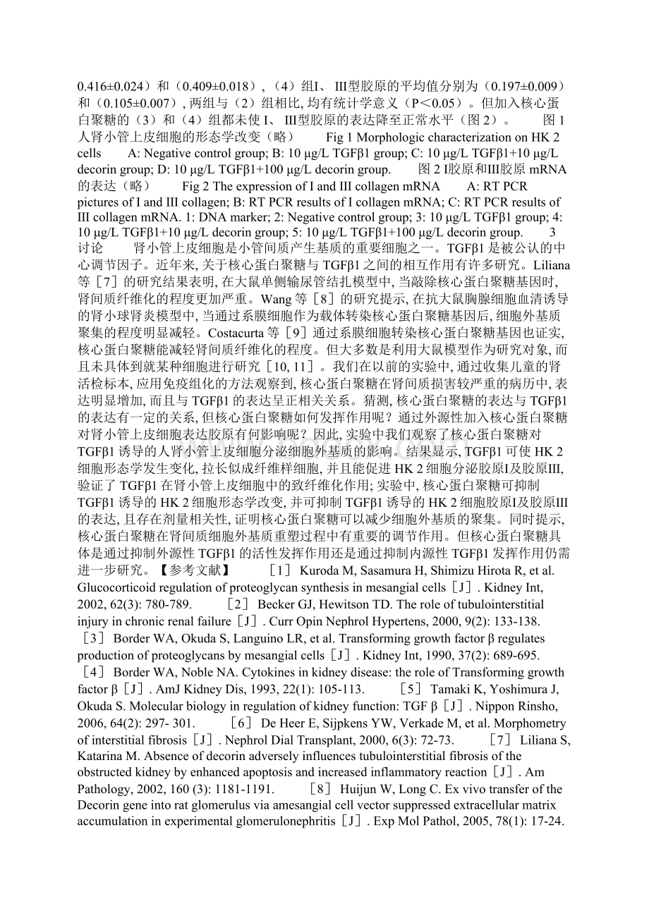 核心蛋白聚糖对TGFβ1诱导的人肾小管上皮细胞产生胶原的影响.docx_第3页