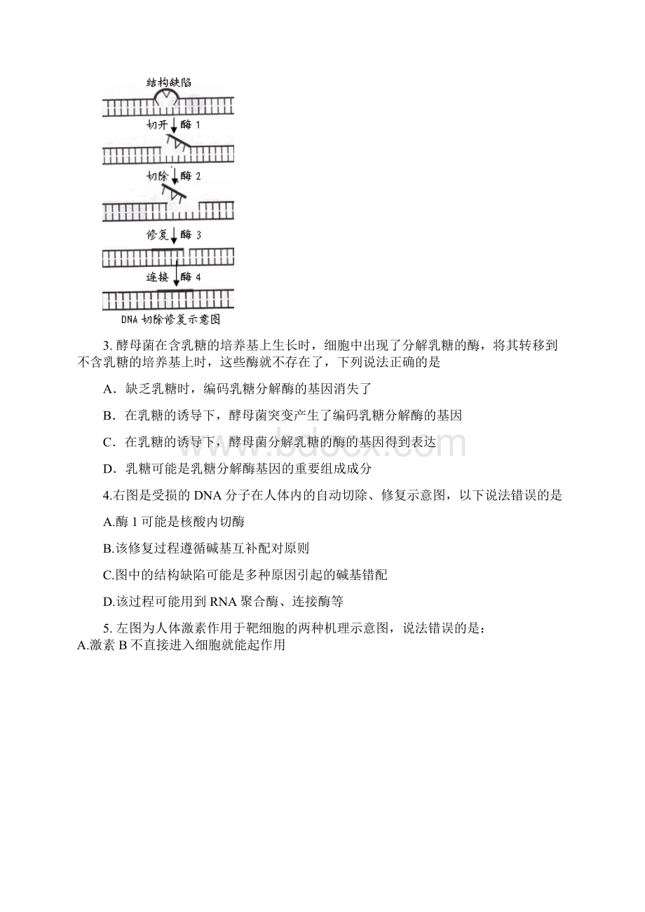 4号惠州高三第三次调研考试理综试题Word下载.docx_第2页