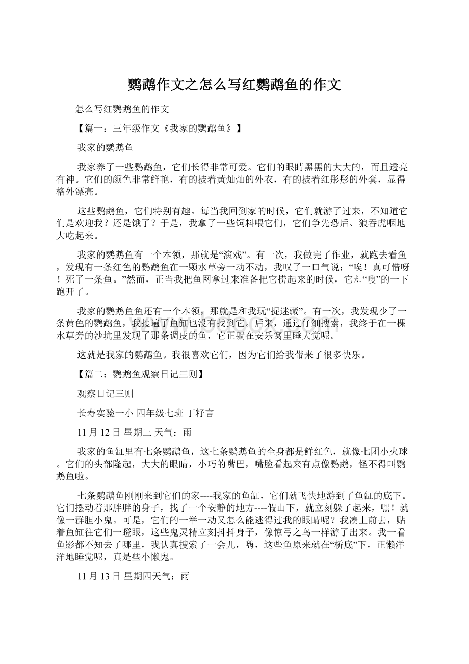 鹦鹉作文之怎么写红鹦鹉鱼的作文Word格式.docx