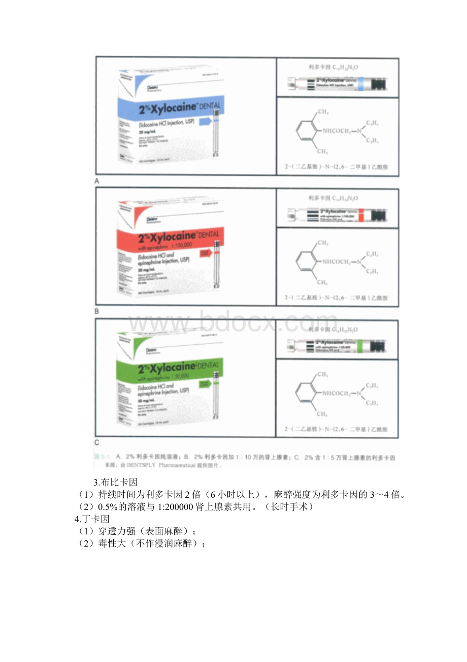 口腔麻醉与镇痛Word文件下载.docx_第2页