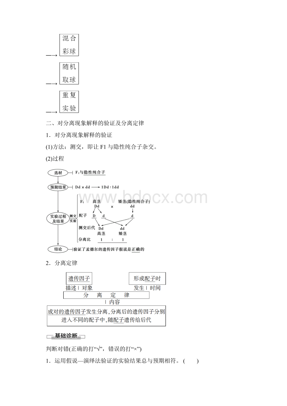 人教版生物必修二讲义第1章第1节孟德尔的豌豆杂交实验1第2课时.docx_第2页