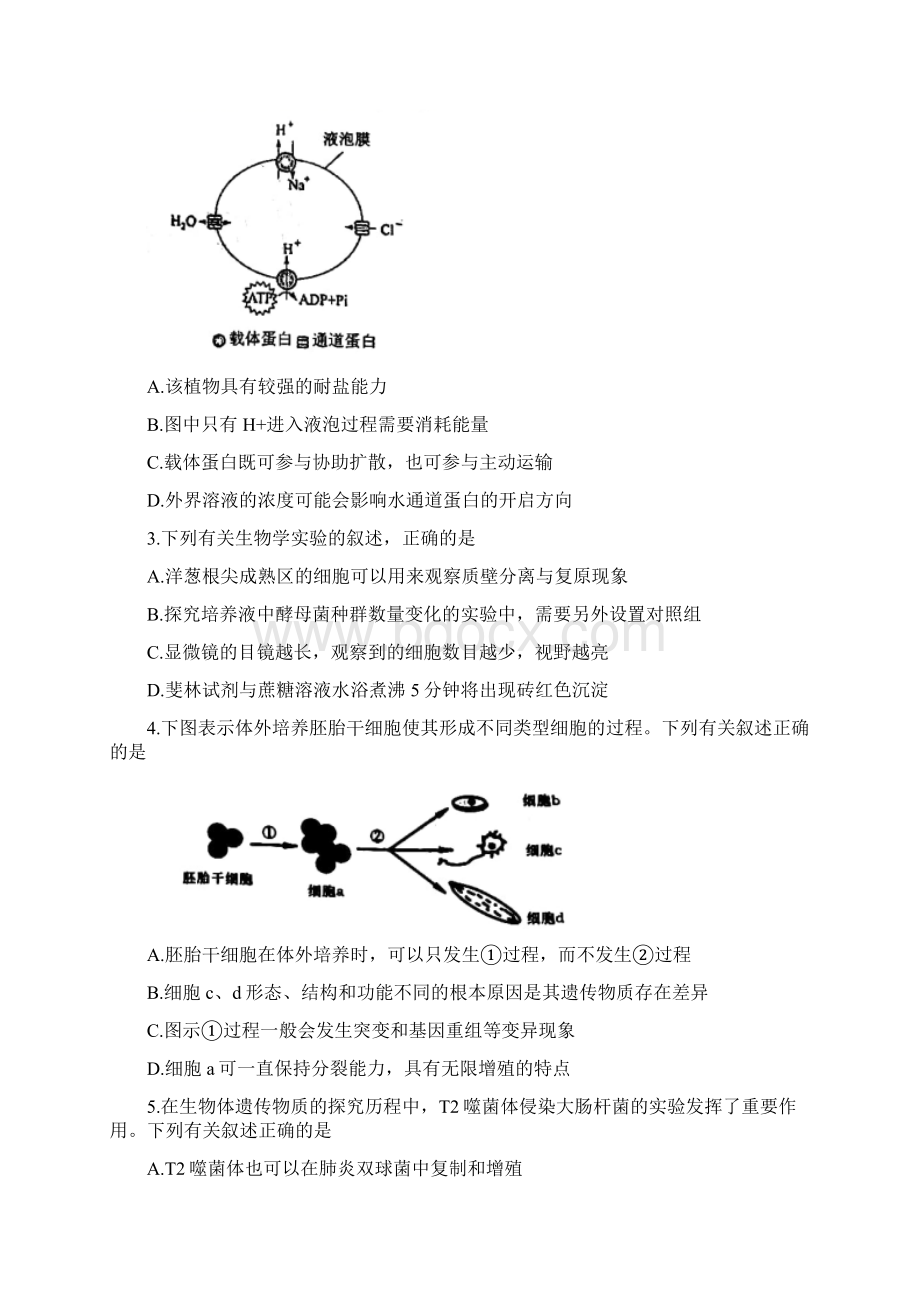 江苏省盐城市届高三第三次模拟考试生物试题word含答案.docx_第2页