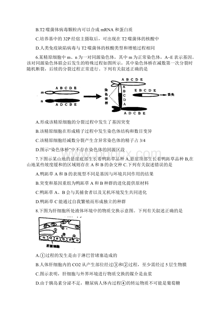 江苏省盐城市届高三第三次模拟考试生物试题word含答案.docx_第3页