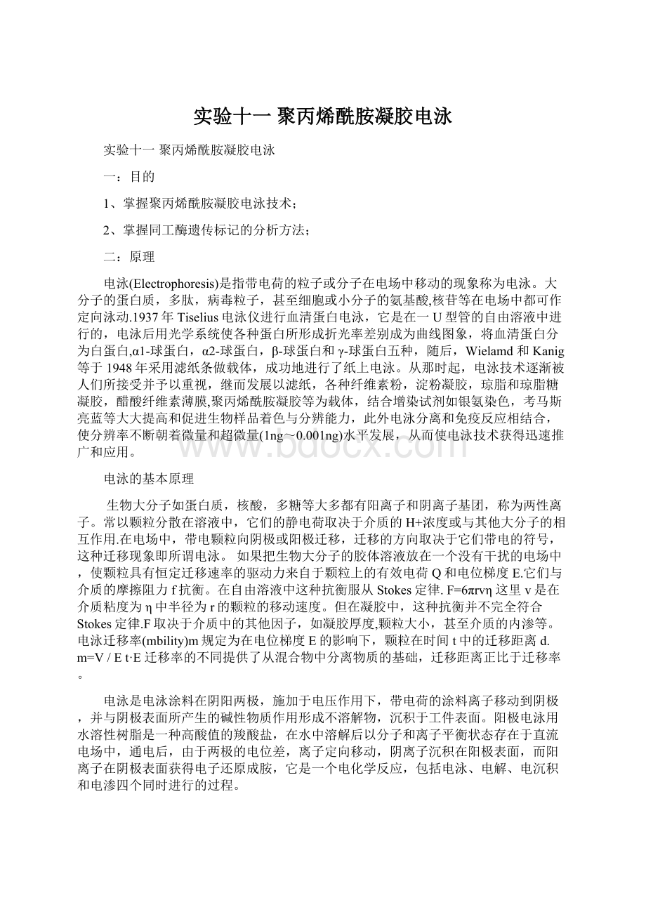 实验十一 聚丙烯酰胺凝胶电泳.docx_第1页