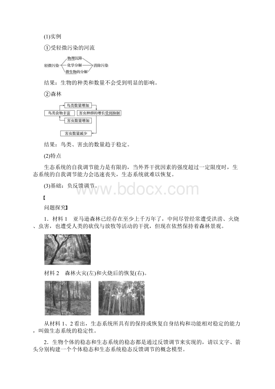 版高中生物第5章生态系统及其稳定性第5节生态系统的稳定性学案新人教版必修3Word格式.docx_第2页