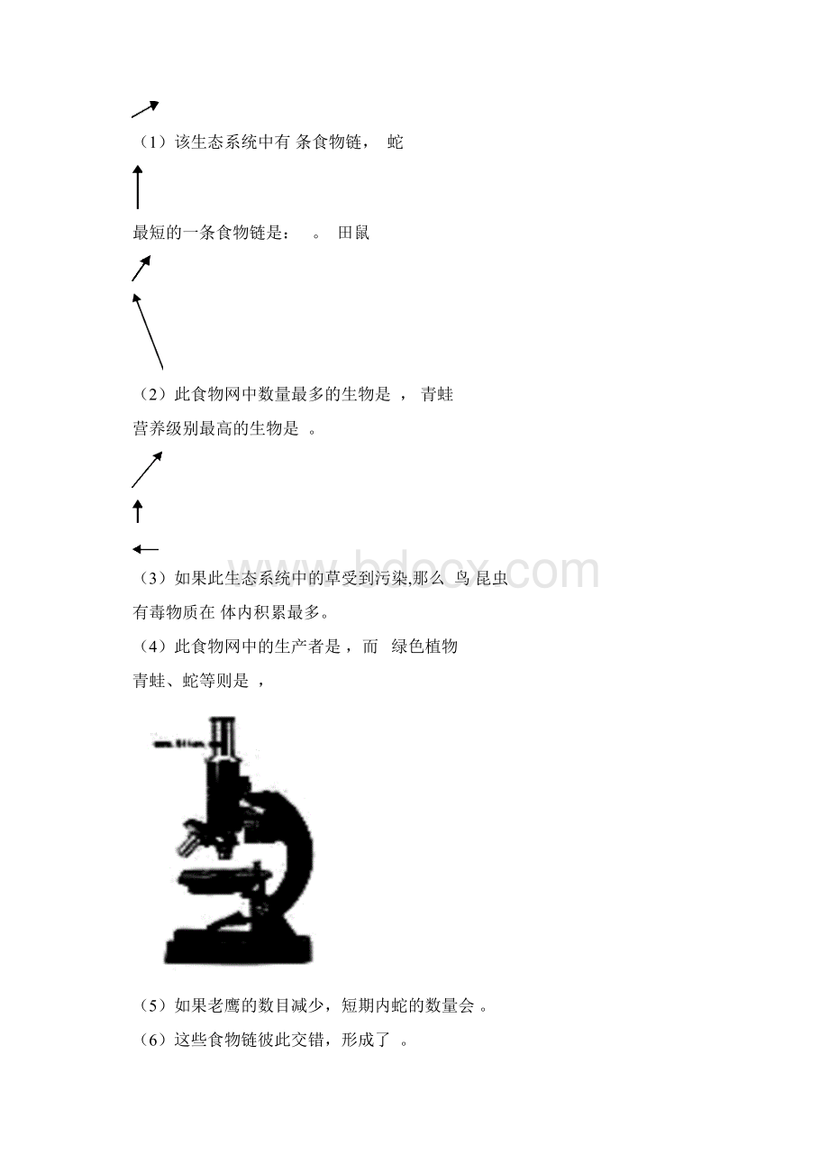 七年级上册生物识图题集锦.docx_第3页