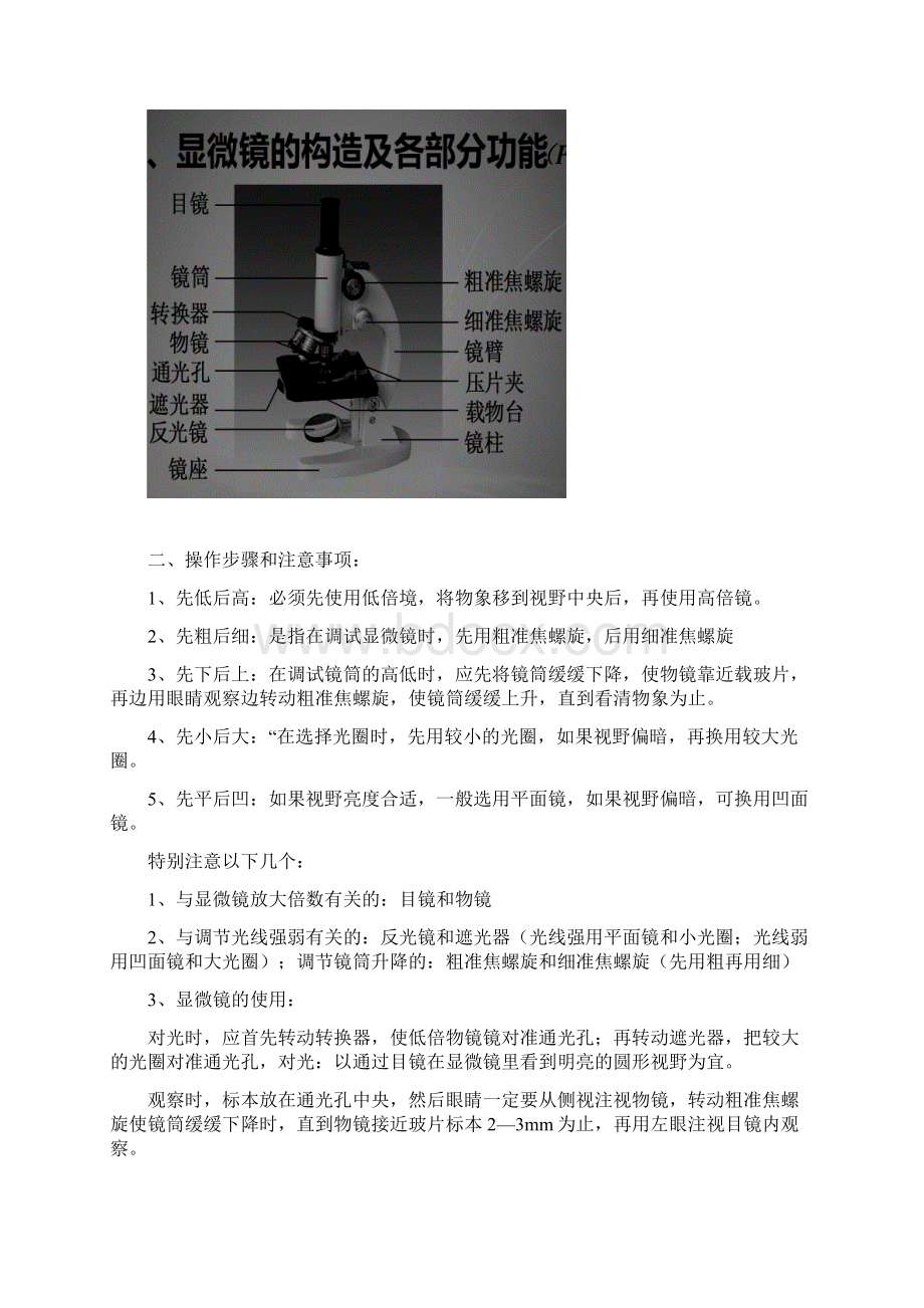 级生物总复习资料.docx_第3页