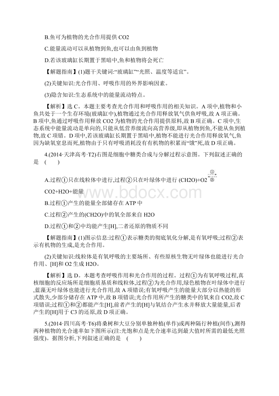 届高考生物一轮复习知识点5 光合作用Word格式文档下载.docx_第2页