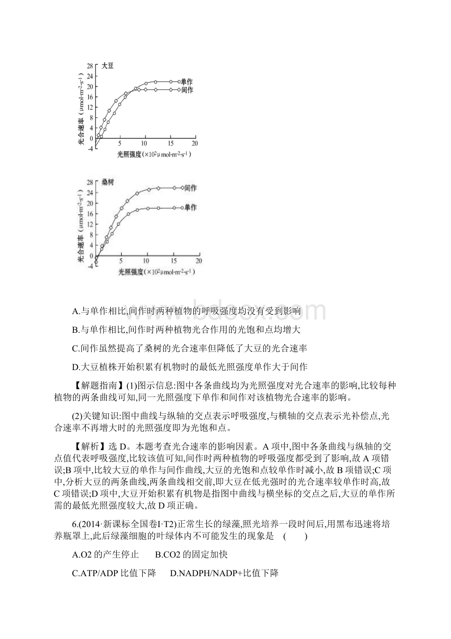 届高考生物一轮复习知识点5 光合作用.docx_第3页