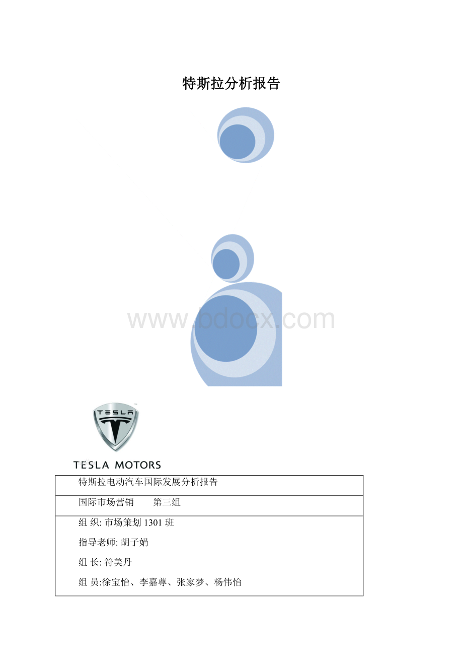 特斯拉分析报告文档格式.docx_第1页