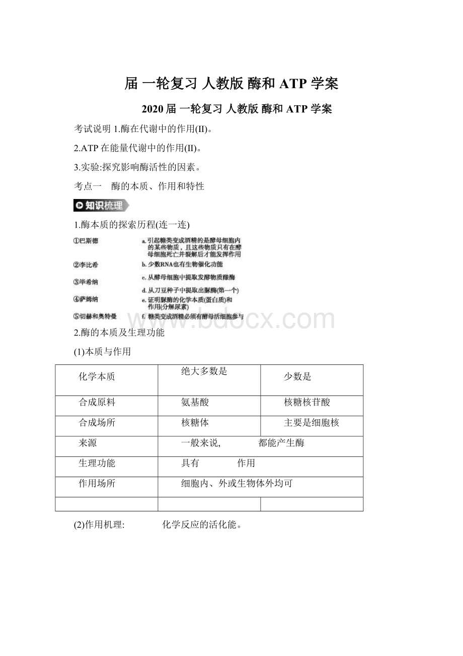 届 一轮复习人教版酶和ATP 学案.docx