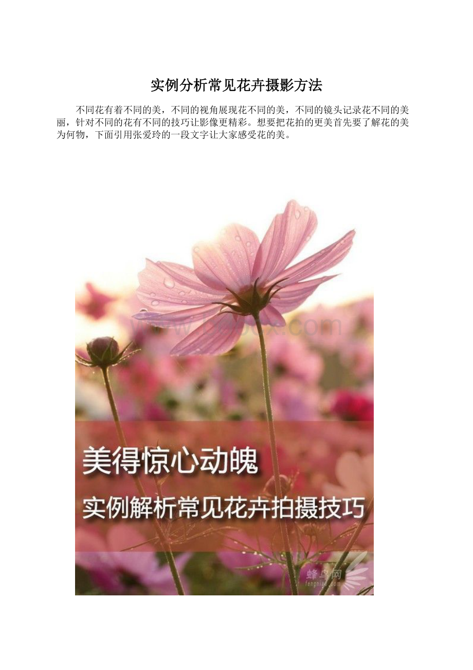 实例分析常见花卉摄影方法.docx_第1页