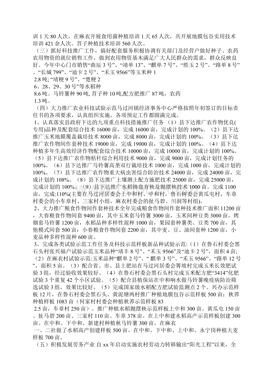 乡镇经济服务中心工作总结及工作计划.docx_第2页