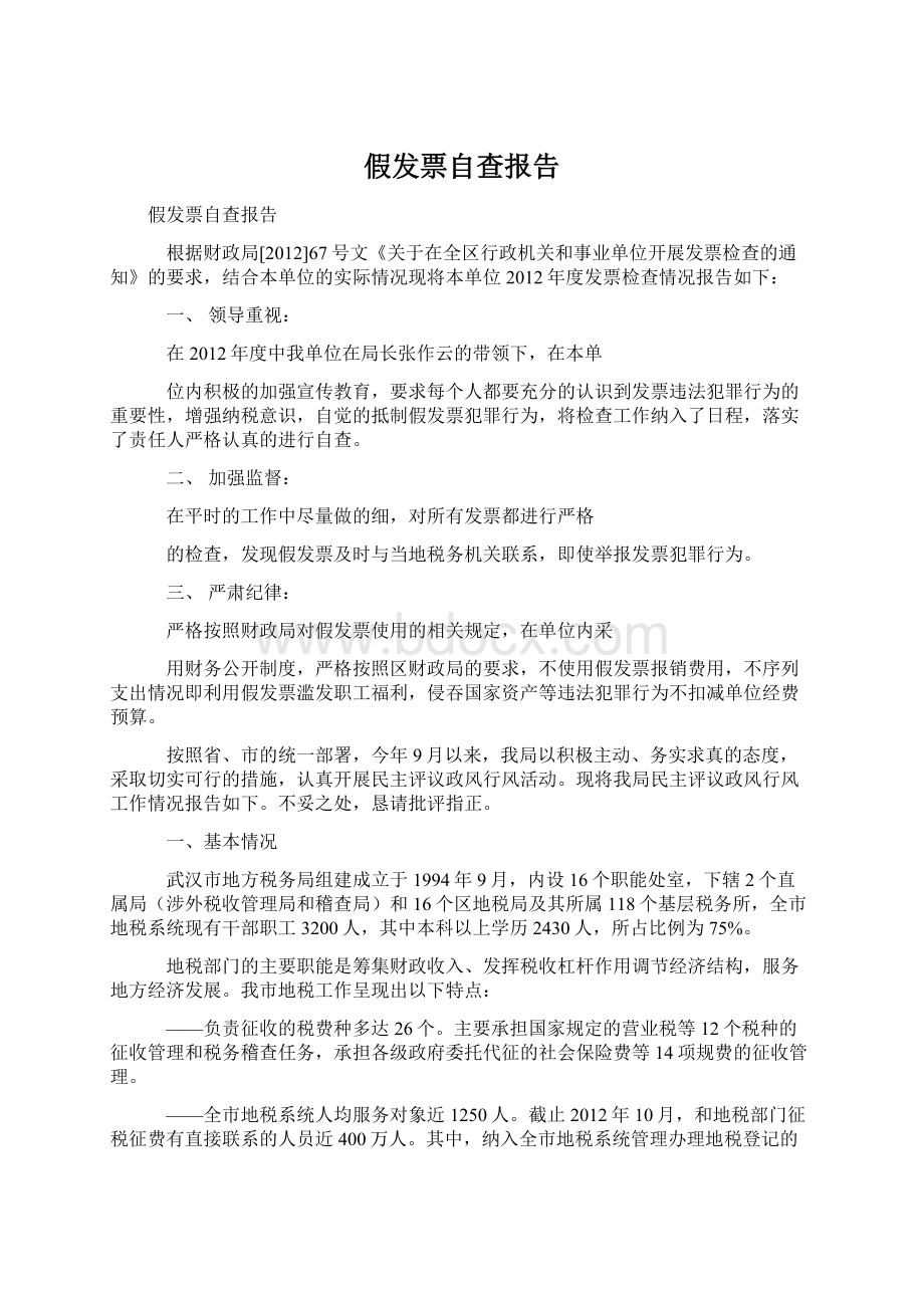 假发票自查报告Word格式文档下载.docx_第1页