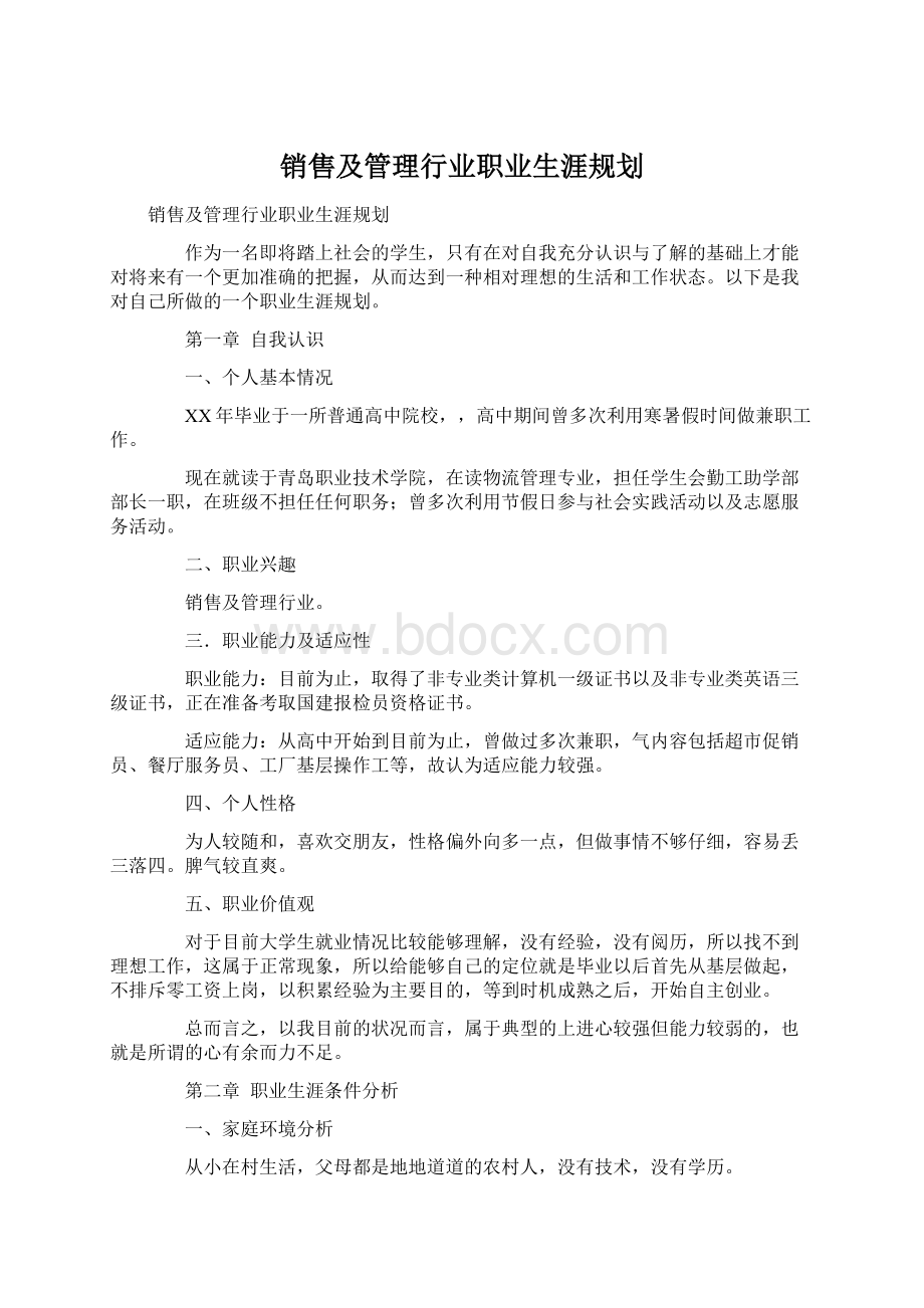 销售及管理行业职业生涯规划.docx