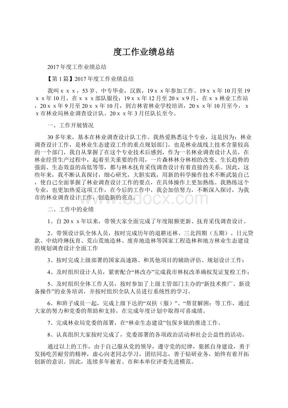 度工作业绩总结文档格式.docx