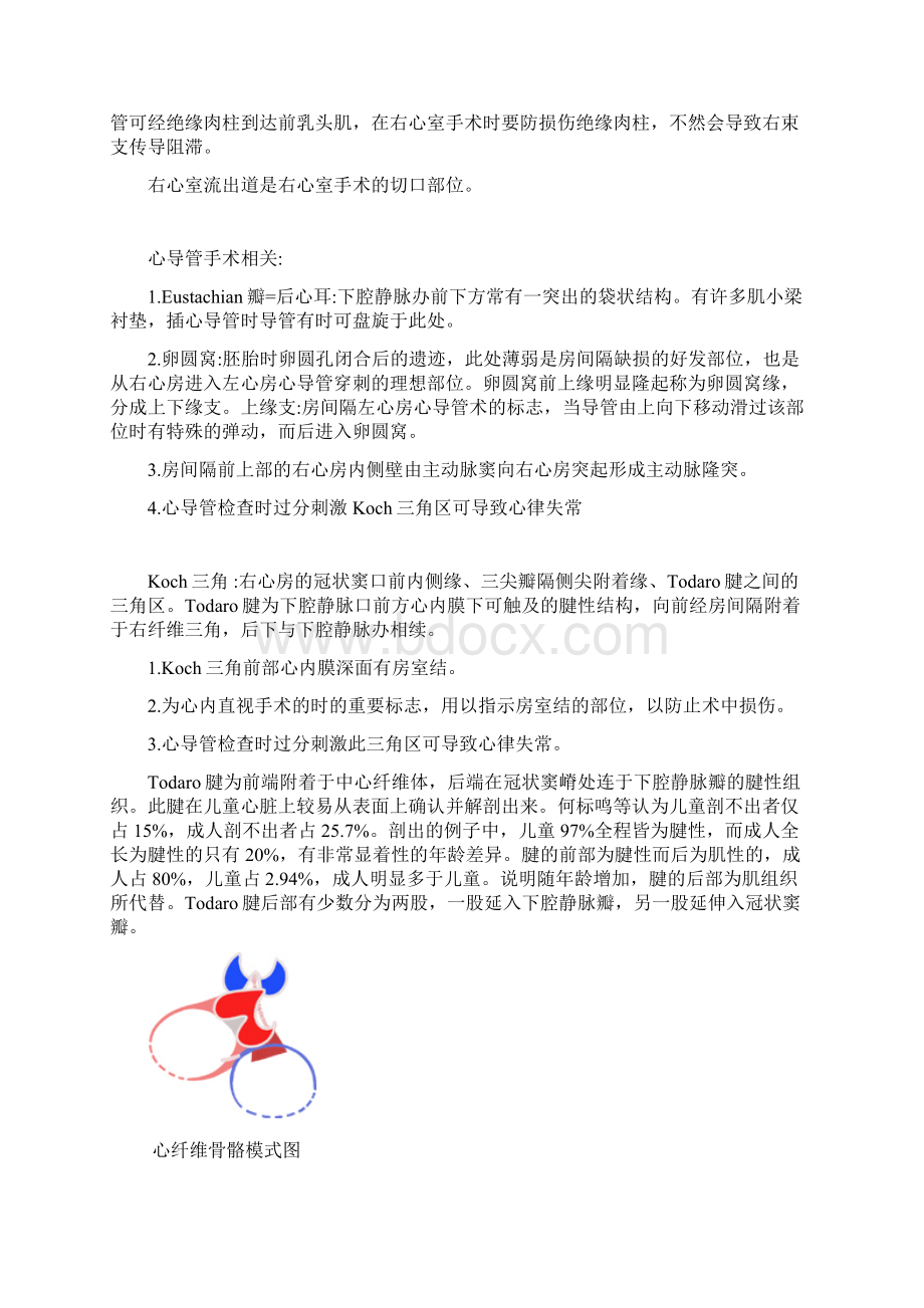 解剖课本上的临床意义整理.docx_第2页