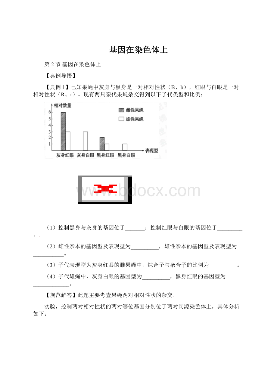 基因在染色体上Word格式.docx