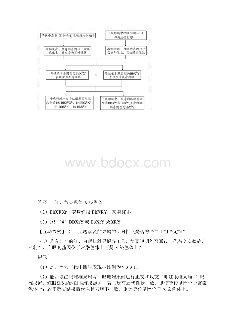 基因在染色体上.docx_第2页