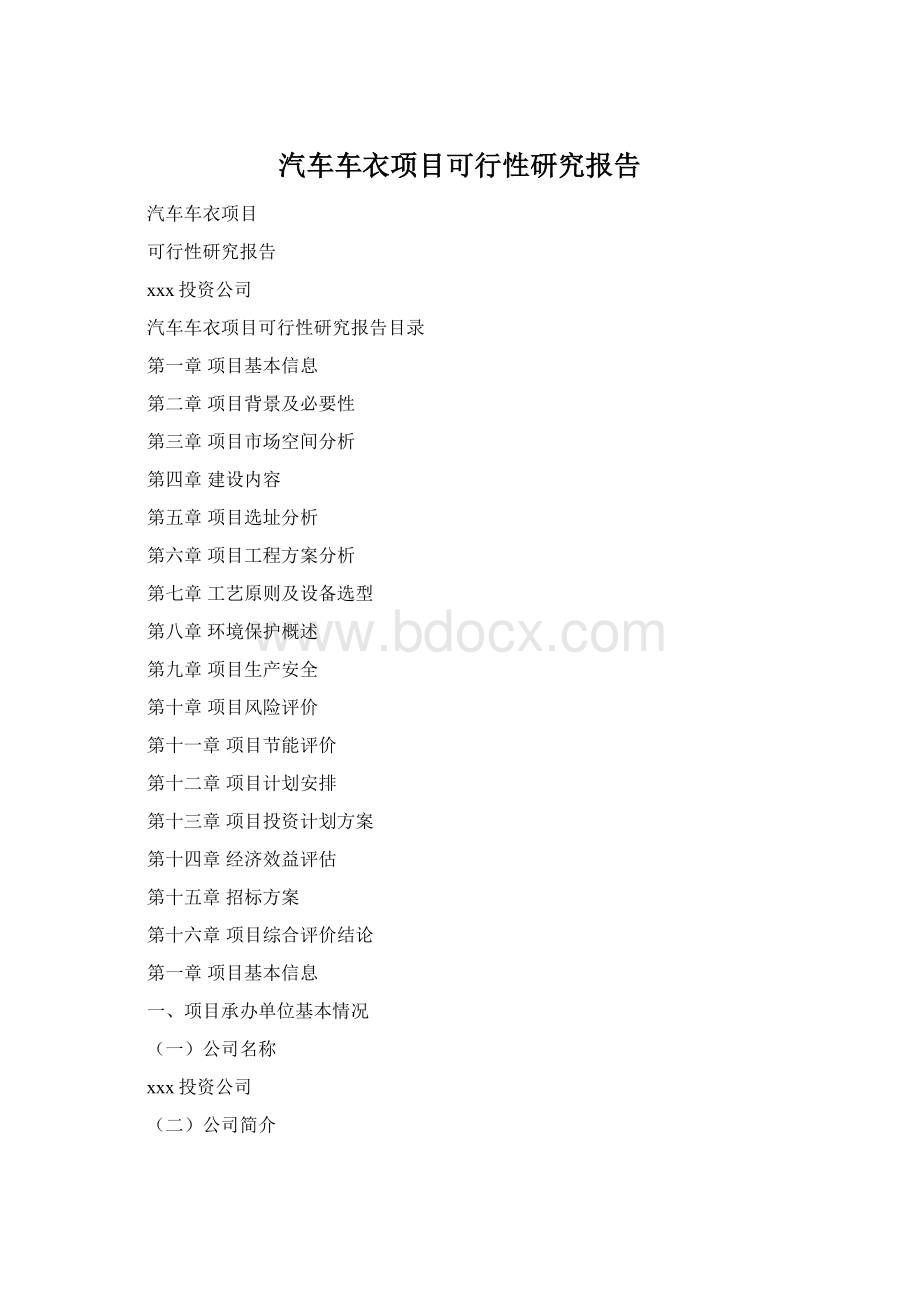 汽车车衣项目可行性研究报告.docx