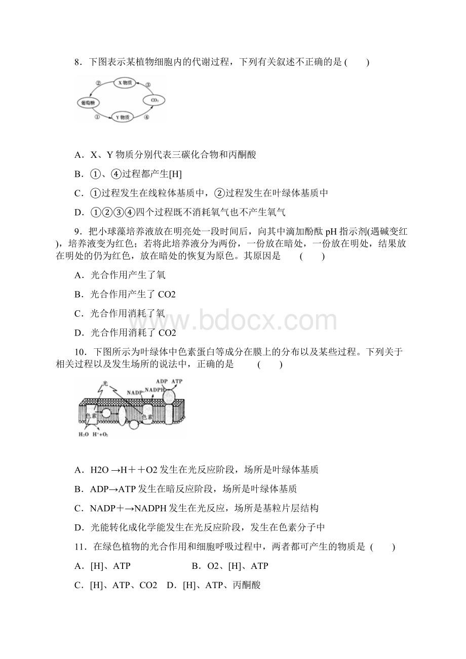 高三生物阶段性测试题.docx_第3页