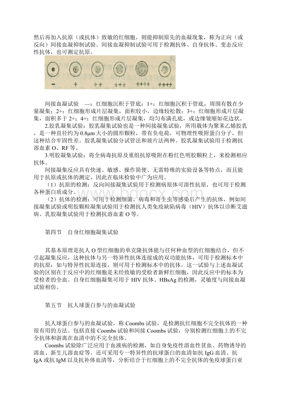 临床免疫学凝集反应.docx_第3页