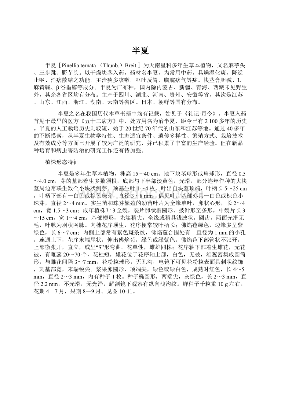 半夏Word格式文档下载.docx_第1页