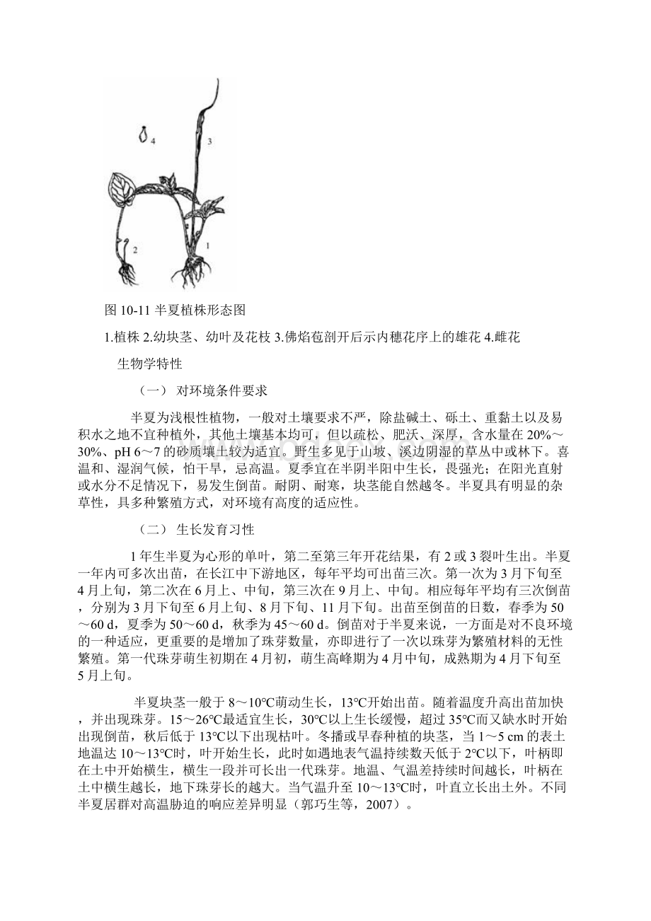 半夏Word格式文档下载.docx_第2页