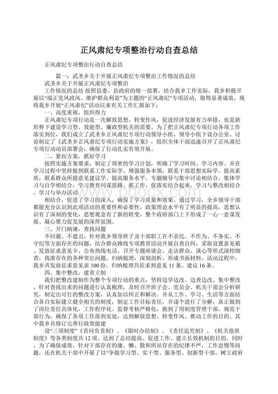 正风肃纪专项整治行动自查总结.docx_第1页