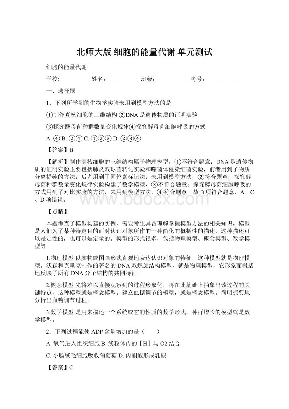 北师大版 细胞的能量代谢 单元测试Word文档下载推荐.docx