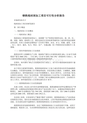 钢铁线材深加工项目可行性分析报告文档格式.docx