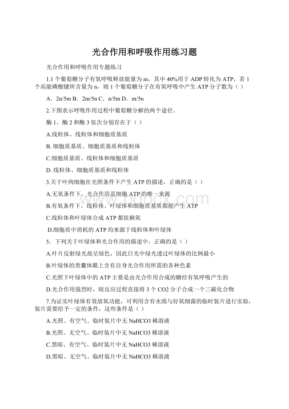 光合作用和呼吸作用练习题.docx_第1页