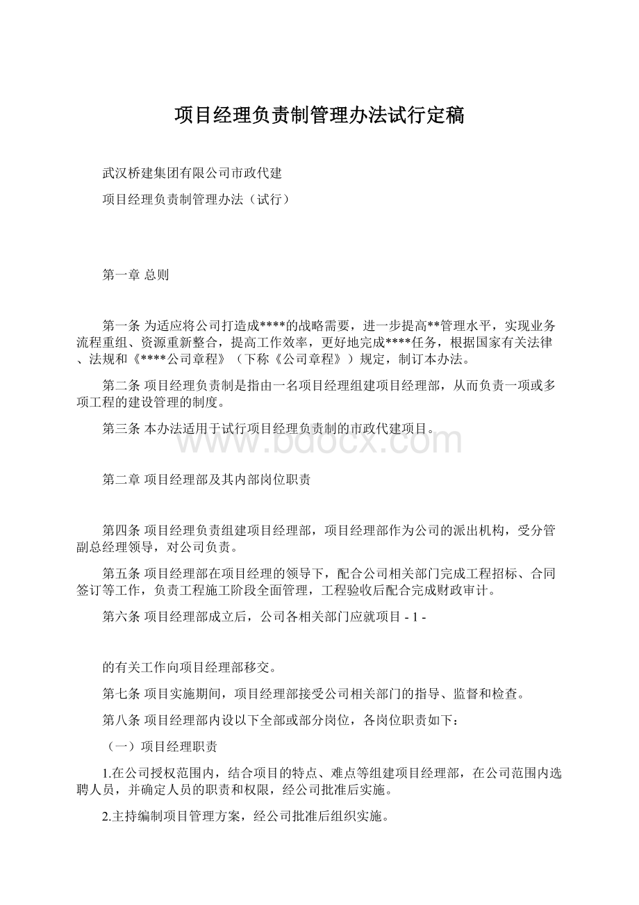 项目经理负责制管理办法试行定稿.docx_第1页