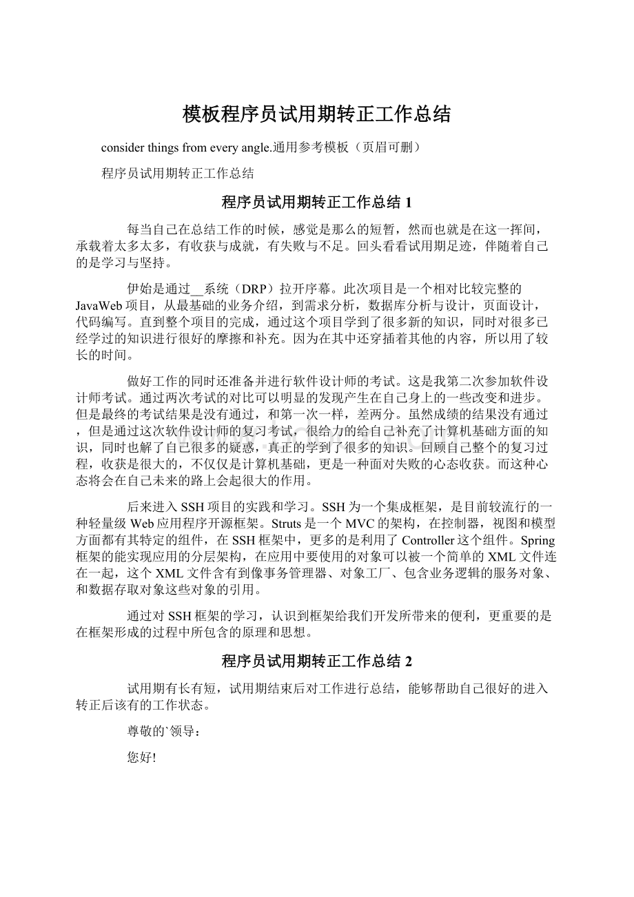 模板程序员试用期转正工作总结.docx