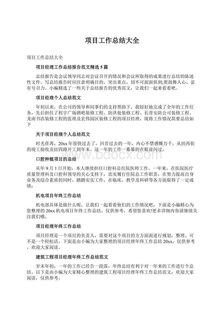 项目工作总结大全Word文档格式.docx_第1页