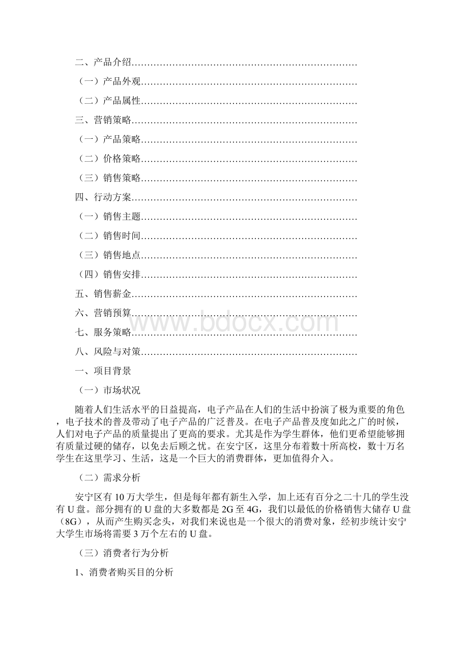 U盘营销策划书.docx_第2页